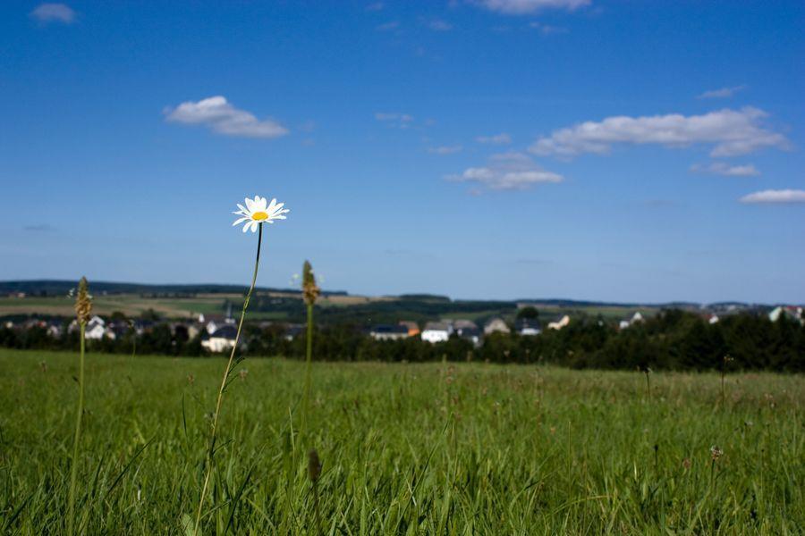 Studiohaus Haus Roswitha Geisfeld  Bagian luar foto
